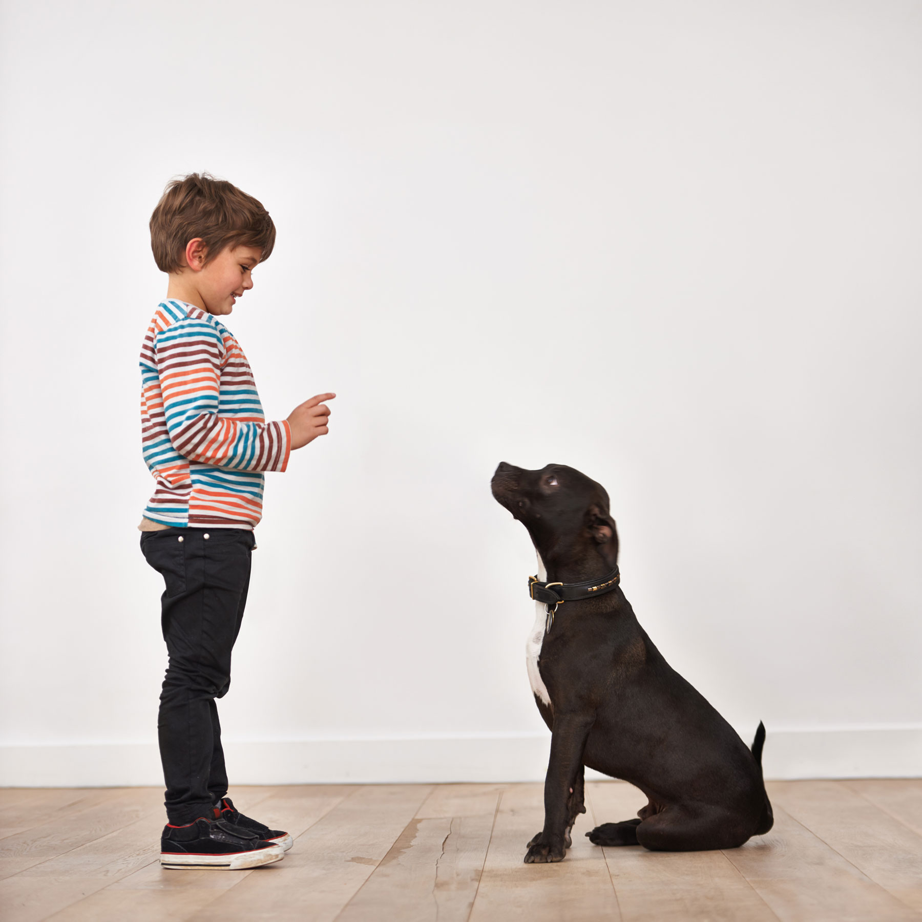 Boy with dog